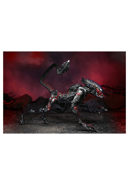 Aliens 7-Inch Scale Action Figure - Ultimate Night Cougar Alien (Kenner Tribute)