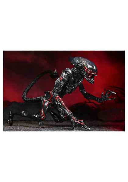 Aliens 7-Inch Scale Action Figure - Ultimate Night Cougar Alien (Kenner Tribute)
