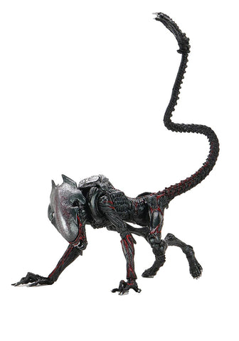 Aliens 7-Inch Scale Action Figure - Ultimate Night Cougar Alien (Kenner Tribute)
